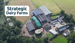 Ayrshire farm adopts carbon-saving practices